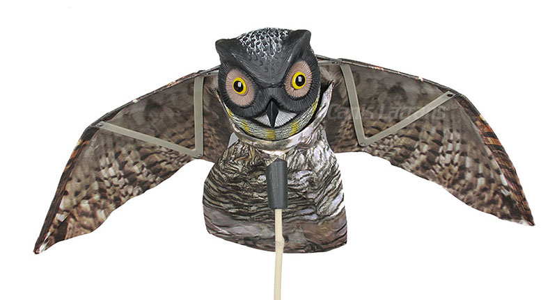 Hunting bait - wings owl