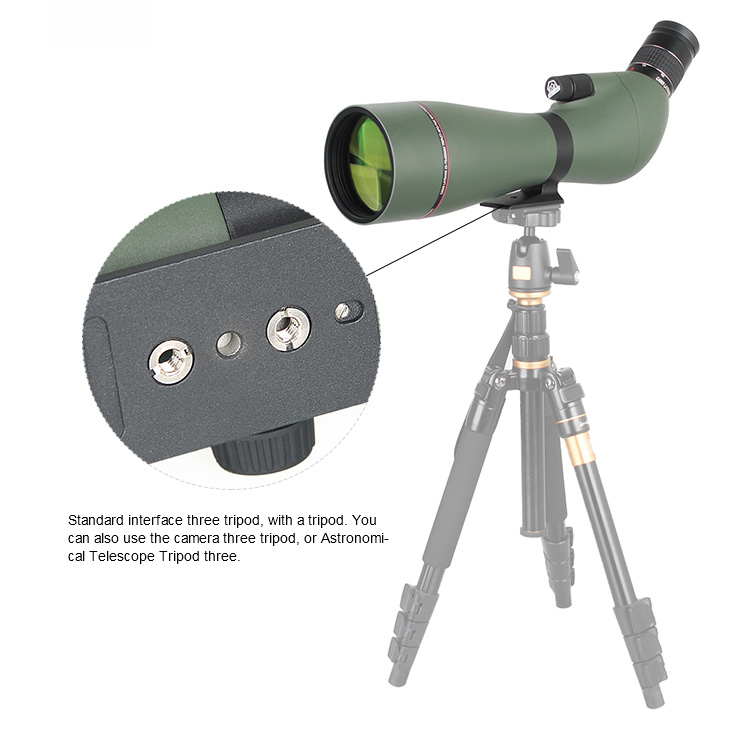 25-75X95APO Spotting scope