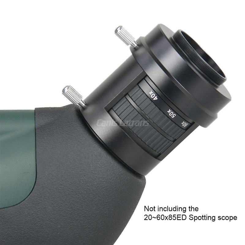 Spotting scope mount