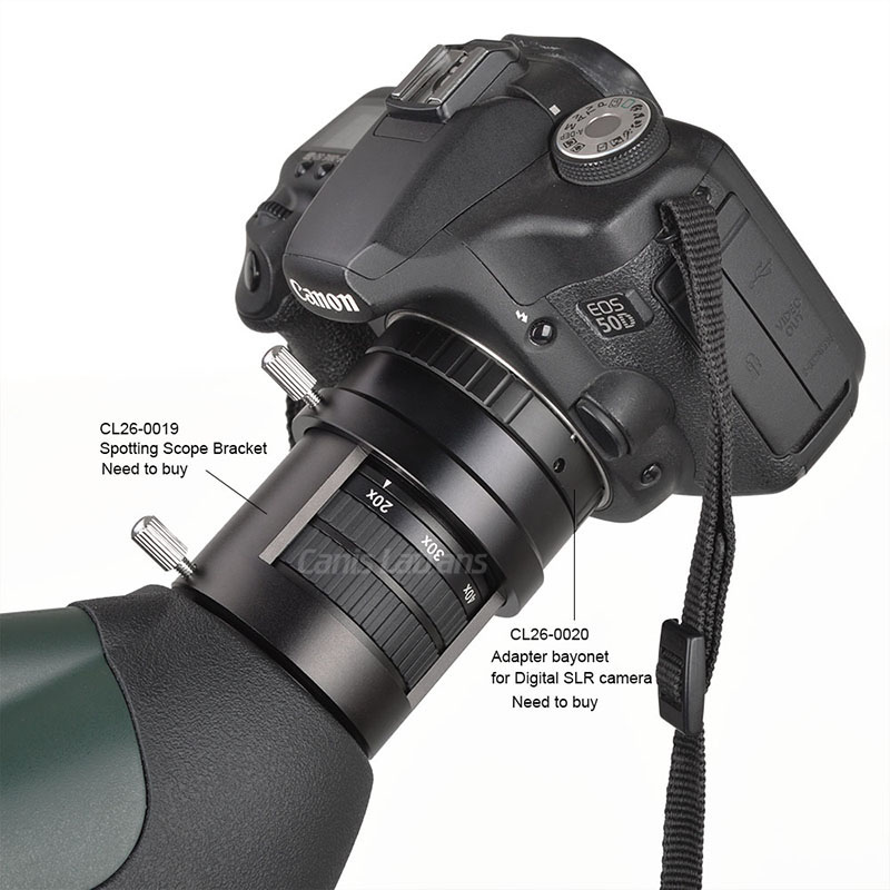 Spotting scope mount