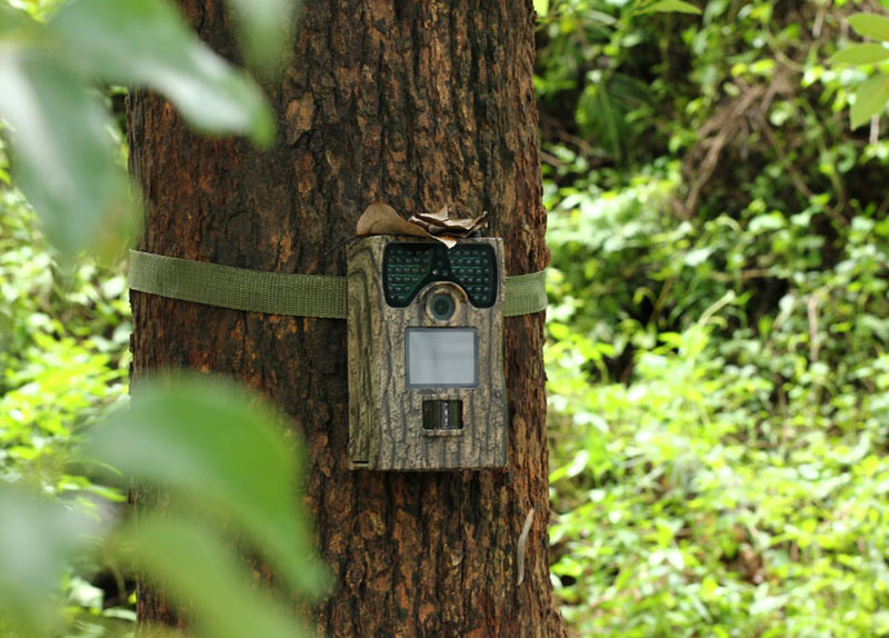 Scouting Trail Camera